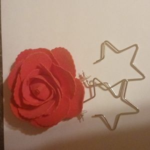 Silver colored star earrings